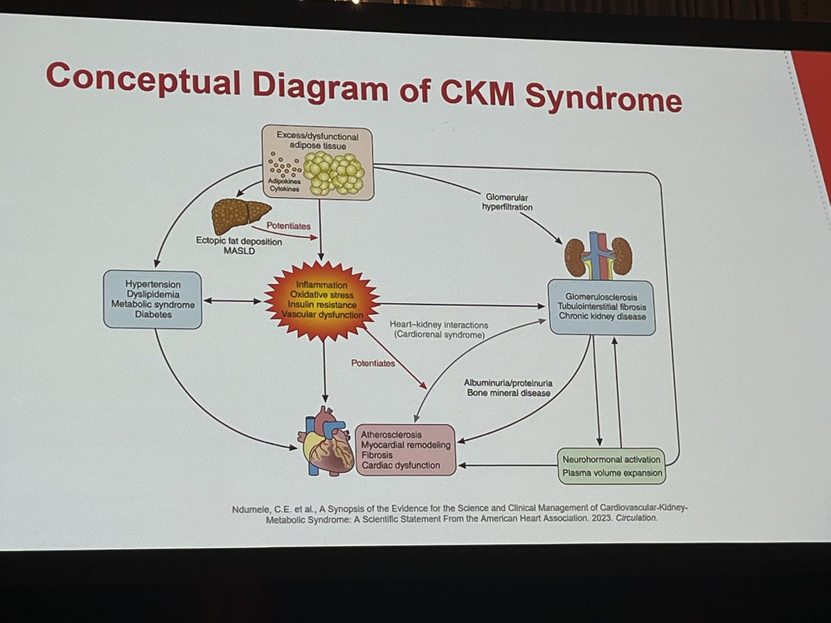 Dr. Chiadi Ndumele @ChiadiNdumele highlighting the rationale, definition, and applications of the new cardiovascular-kidney-metabolic health construct #EPILifestyle24 #JAHAMeetingReport #AHAJournals @JAHA_AHA @American_Heart