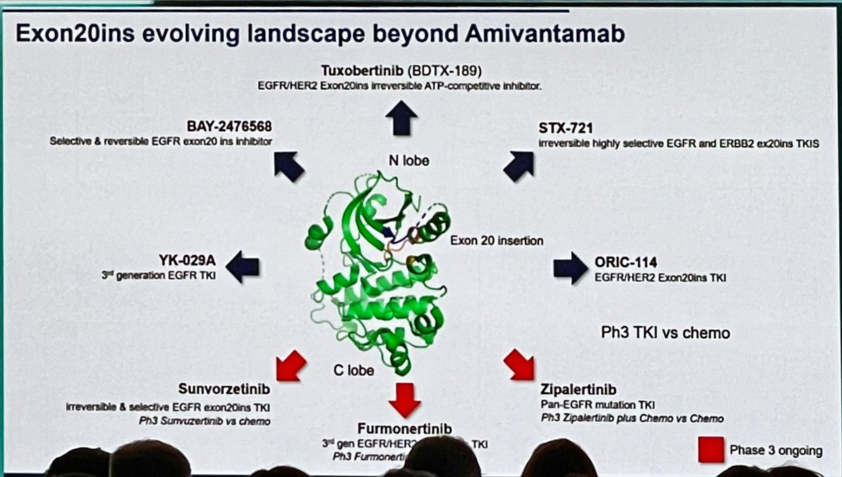 @APassaroMD giving a tour de force on EGFR exon 20 mutation for patients with lung 🫁 cancer and new treatment options for these patients discussing current SoC Amivantamab + chemotherapy. #ELCC24 #LCSM @myESMO #ESMOAmbassadors