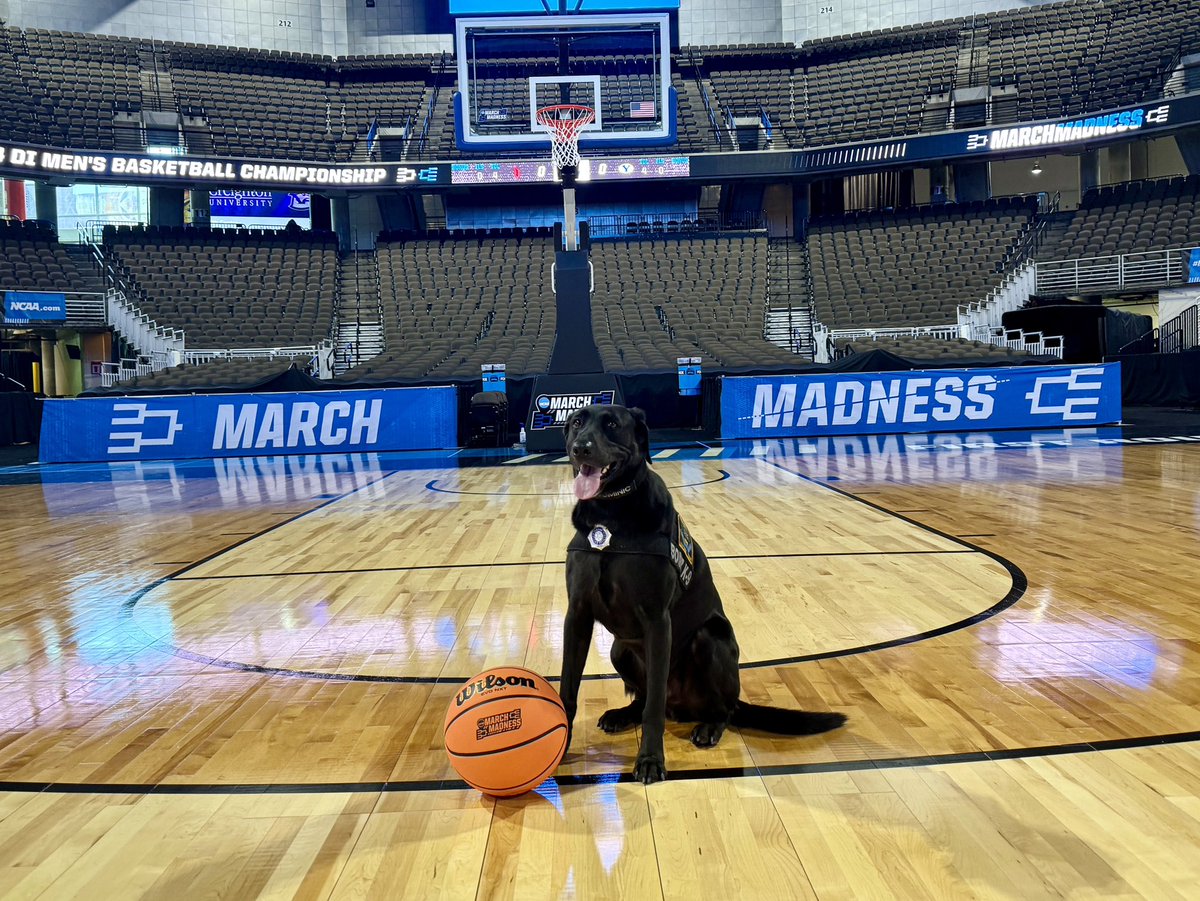 Practice day 🏀 at March Madness in Omaha 🐾 #marchmadness #MarchMadness2024 #Omaha