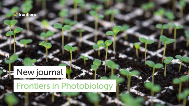 🌱 Pleased to join the editorial board of <a href="/FrontiersIn/">Frontiers</a> Photobiology as Review Editor in the Section Photomorphogenesis &amp; Development. This new journal will help drive innovation in its field through high-quality research. 

👉🏻 Find out more: frontiersin.org/journals/photo…