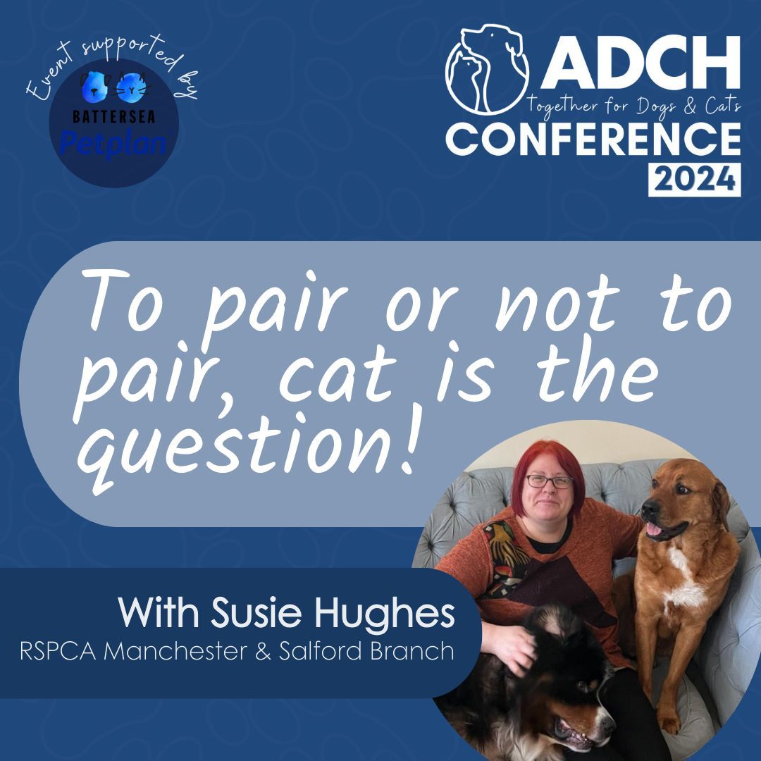 🐈 To pair, or not to pair, CAT is the question! 🐈 Join Susie Hughes from RSPCA Manchester & Salford and other speakers as they explore intriguing topics at #ADCHCONFERENCE2024. Discover this session and more in our draft programme ➡️ buff.ly/4cpY4Kt