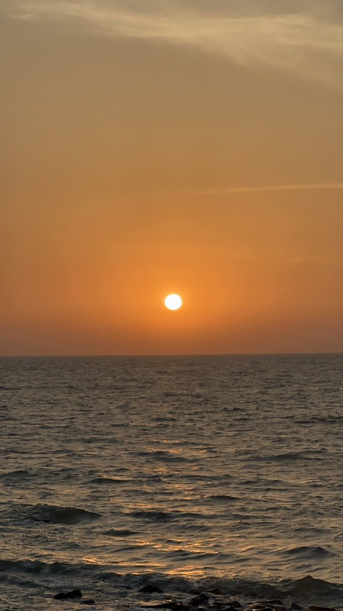 Divyaa Moorjanni (Chinese Samosa) tweet media