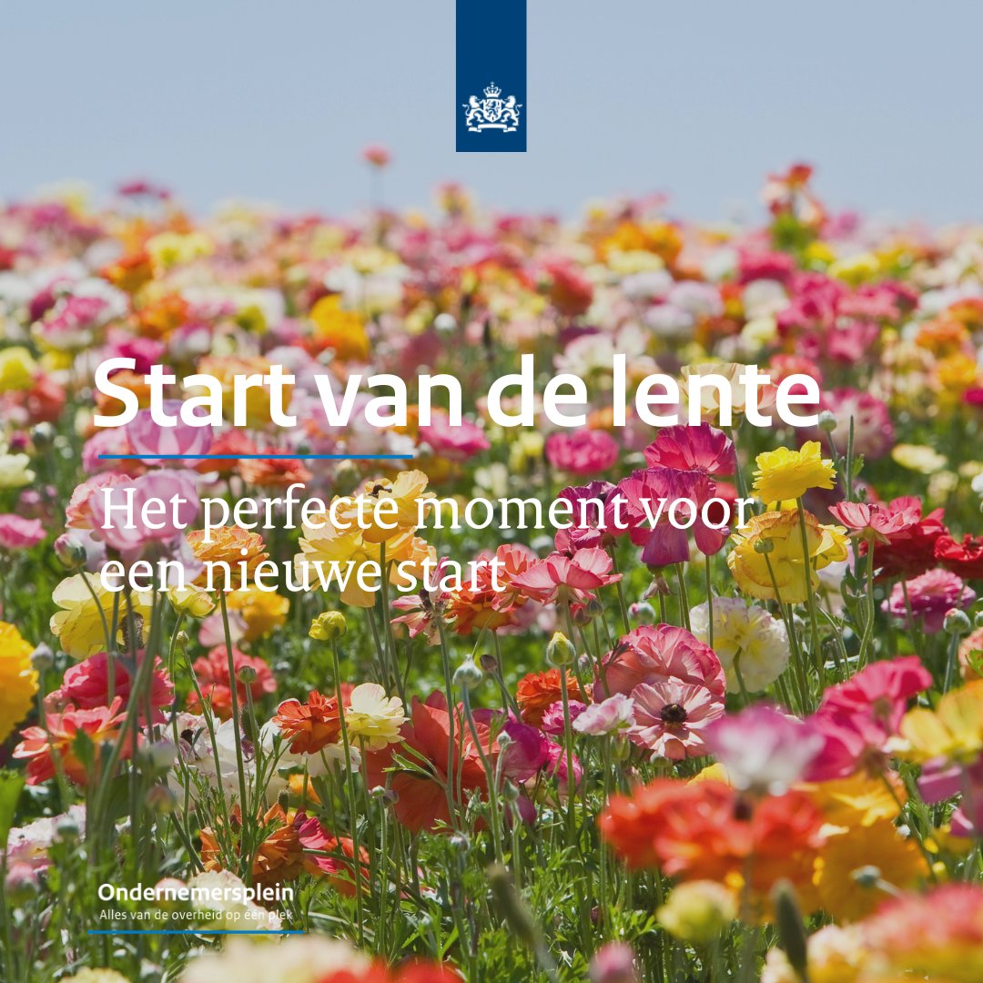 Als 50-plusser heb je een schat aan levenservaring en expertise, en wat is een betere tijd dan het #voorjaar om die te benutten en je eigen bedrijf te beginnen? Meer informatie ➡️ bit.ly/4958FHS #ondernemersplein