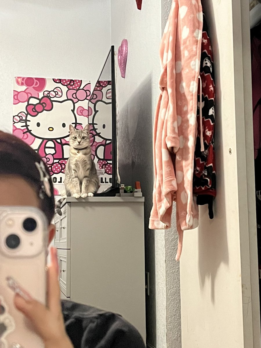 anjeliaxo's tweet photo. .... https://t.co/C8HFXYGeP1