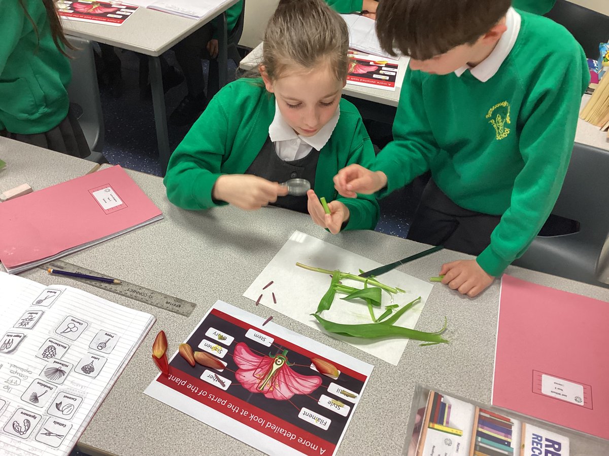 BVPS Year 3 Class Page tweet media