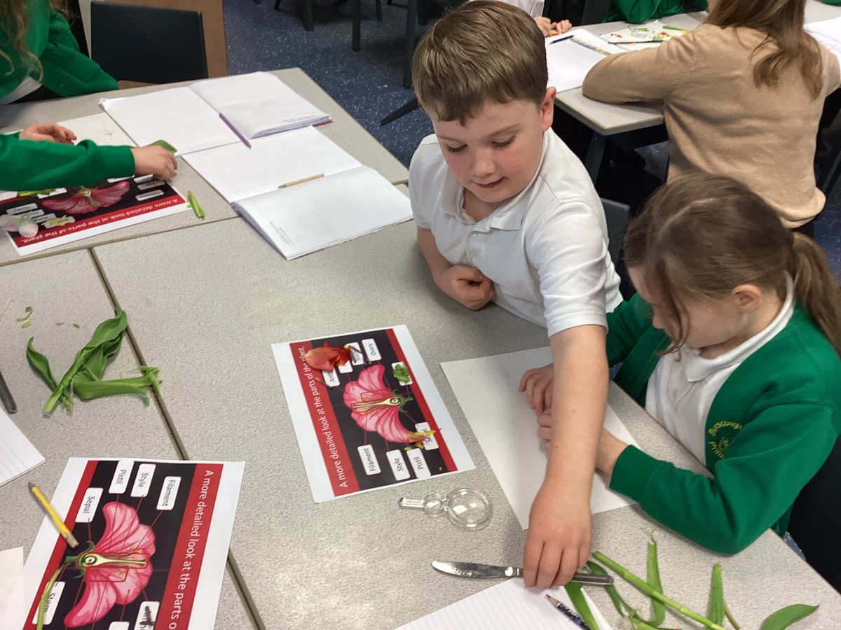 BVPS Year 3 Class Page tweet media