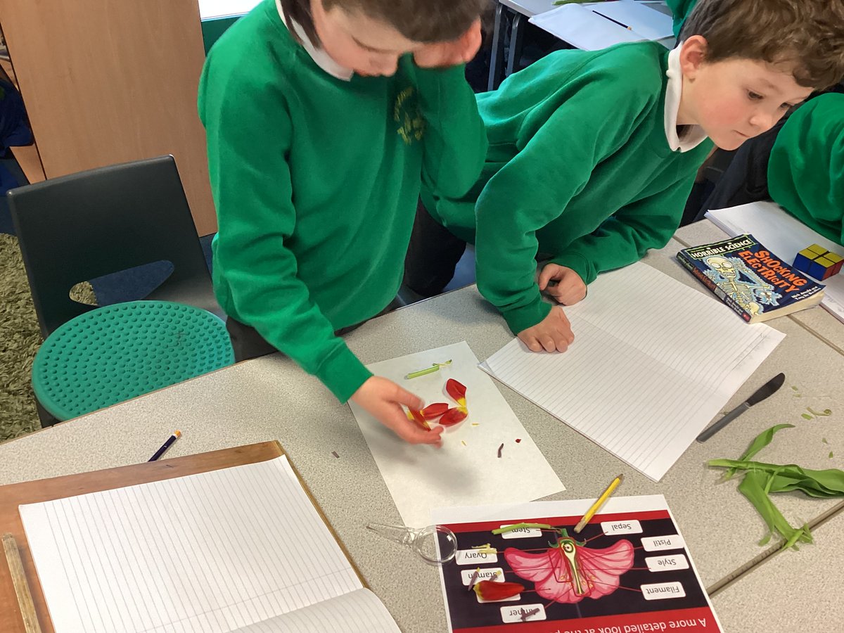 BVPS Year 3 Class Page tweet media