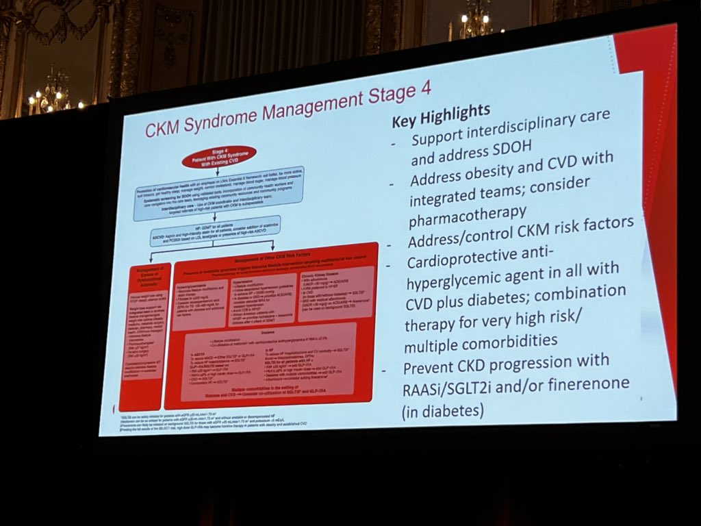 Cardiovascular-Kidney-Metabolic (CKM) syndrome—what is it? why do we care? and how do we address? by @ChiadiNdumele @AHAScience #EPILifestyle24 #SoMe AHA Statement available at ahajournals.org/doi/10.1161/CI…