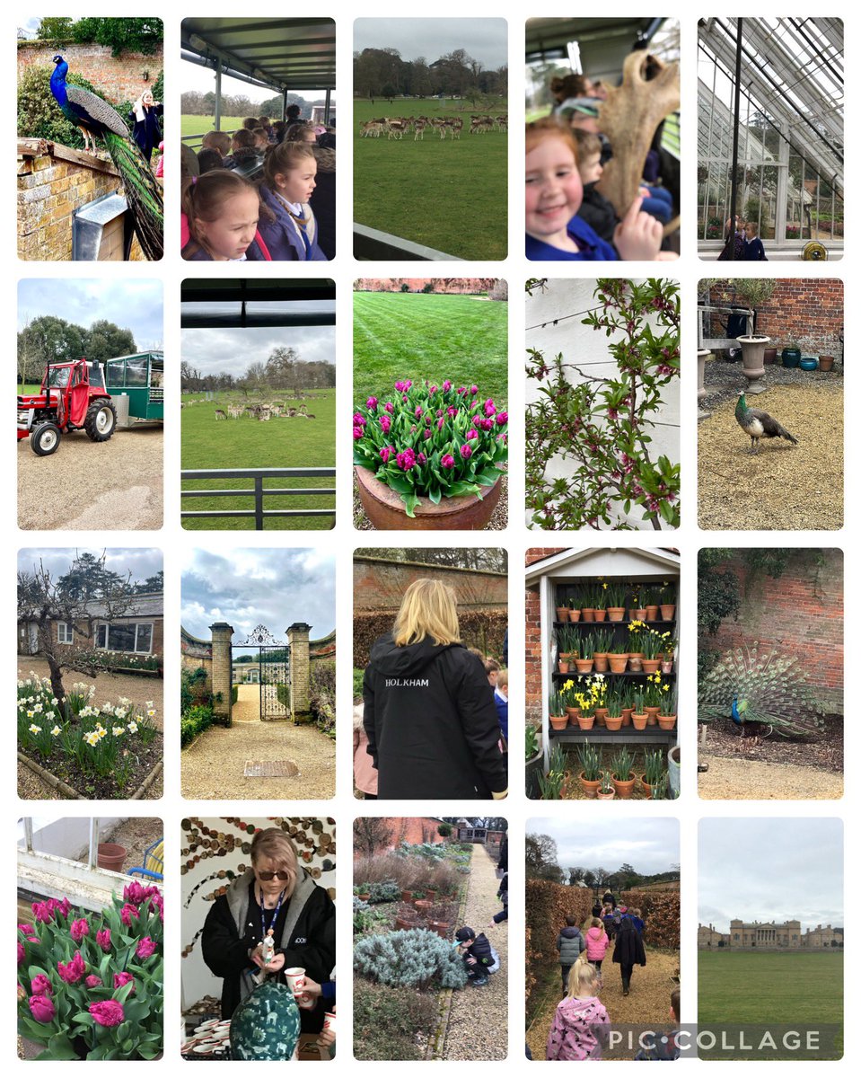 Lions and Tigers had the best day at Holkham Hall! So much learning and so much fun! Thank you to all our wonderful helpers! 🦁💛@Astley_Primary2 @Astley_Primary