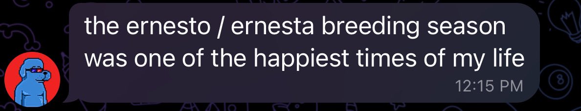 ERNESTO'S WORLD tweet media