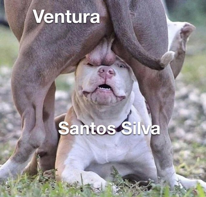 maisumcarneiro's tweet photo. https://t.co/rXO6fh6Xhw