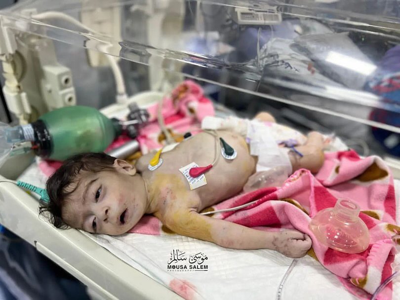 Eye on Palestine tweet media