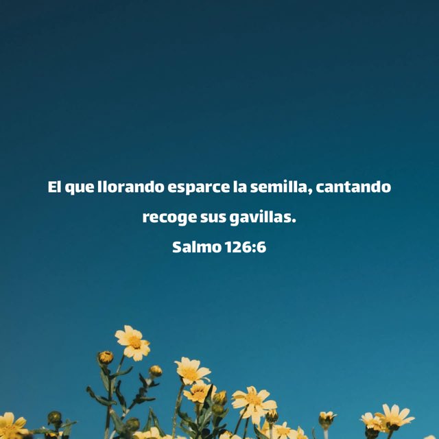 DannyBotello's tweet photo. https://t.co/8PP88y2drL