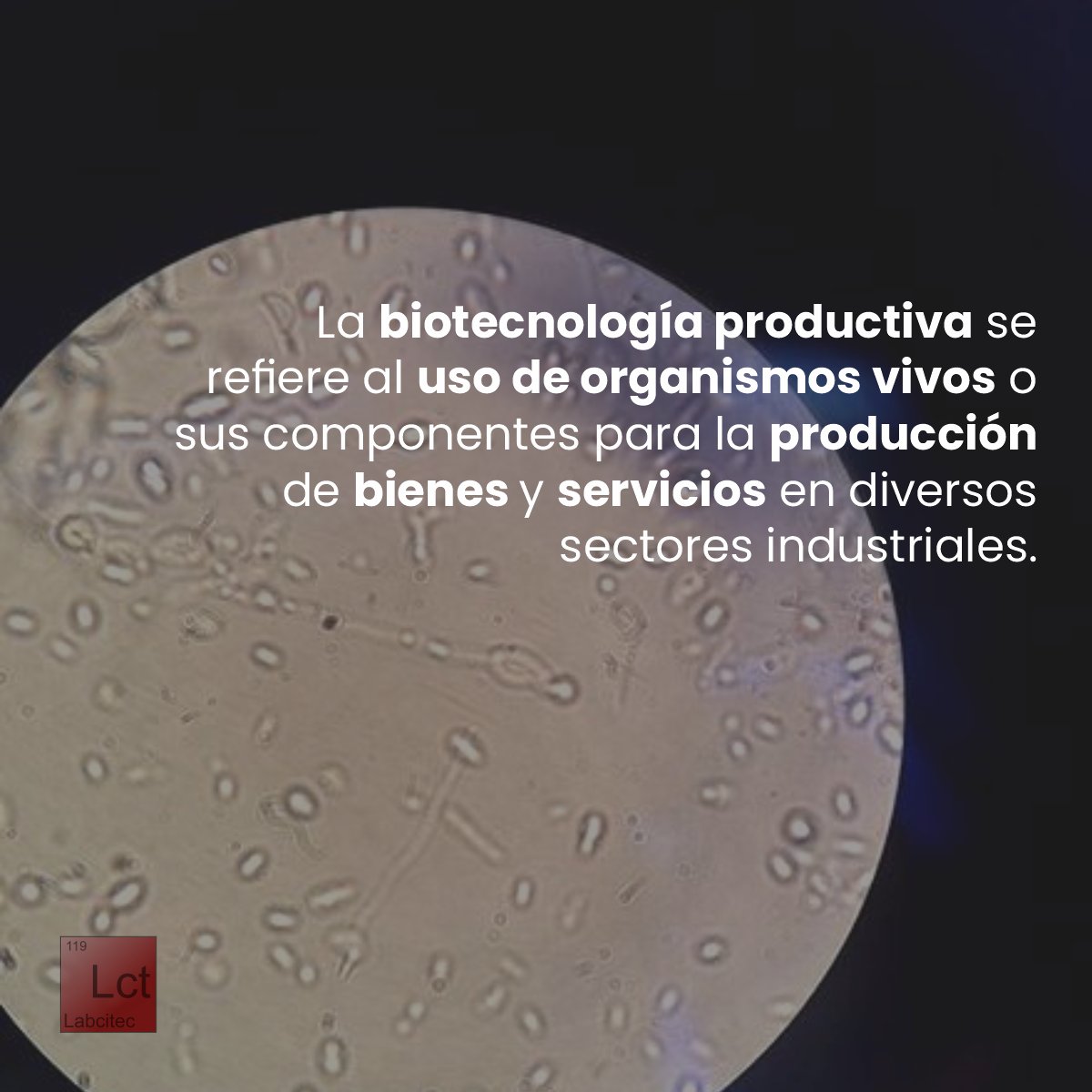 Labcitec's tweet photo. La biotecnología es clave para enfrentar desafíos globales, donde la ciencia y la naturaleza se fusionan para crear soluciones innovadoras.

#labcitec #tecnologia #ciencia #ingenieria #biotech
#innovacion #biotecnologia #investigación #mexico https://t.co/JuQQzPHpp0