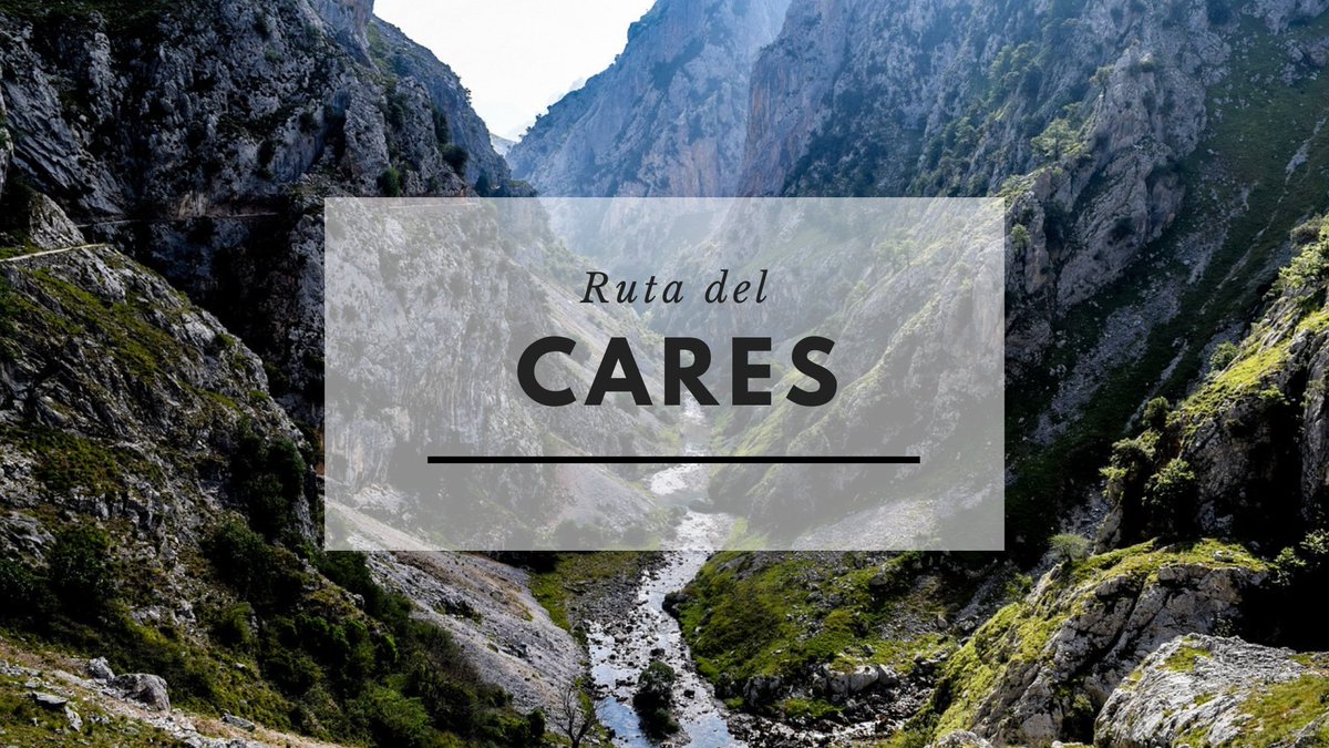 La 𝐑𝐮𝐭𝐚 𝐝𝐞𝐥 𝐂𝐚𝐫𝐞𝐬 es una de las más famosas y espectaculares que encontramos en España. En ella recorremos parte de los 𝐏𝐢𝐜𝐨𝐬 𝐝𝐞 𝐄𝐮𝐫𝐨𝐩𝐚 cruzando de Asturias a León. Acompáñanos a descubrirla
🥾
🥾
🥾
viajandoelmapa.com/ruta-del-cares/