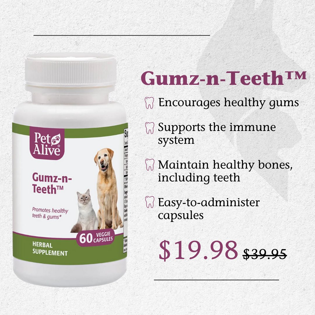 PetAlive tweet media