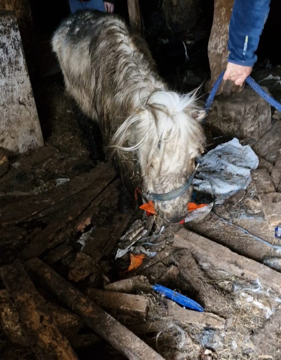#Justice

Une découverte macabre dans une ferme du Doubs

🐴 La semaine dernière, une ferme avait été inspectée pour maltraitance animale. En arrivant sur place, l’Association Canima découvre quatre poneys et quatre chiens détenus dans des conditions abominables.

Affamés,