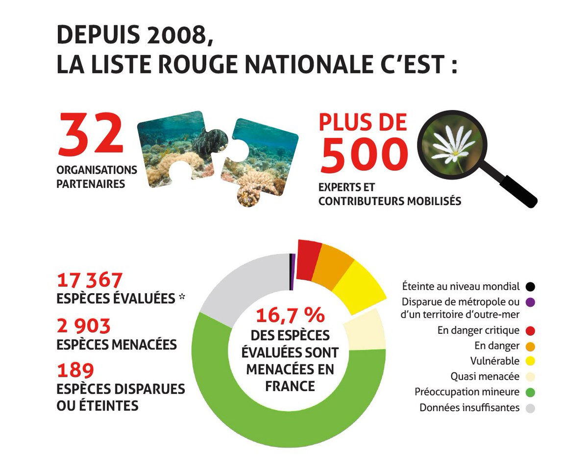 Biocenys tweet media