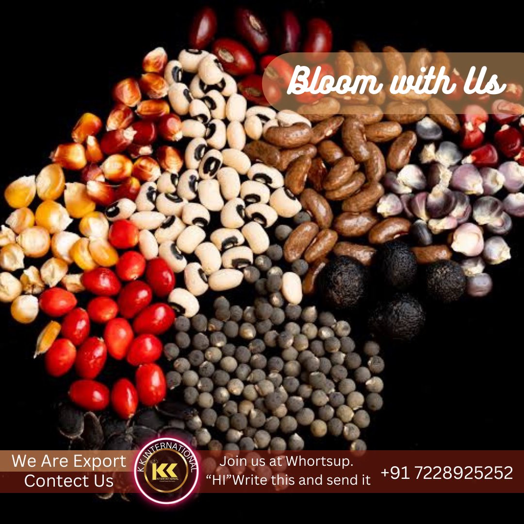 K K INTERNATIONAL (@kkinportexport) on Twitter photo 