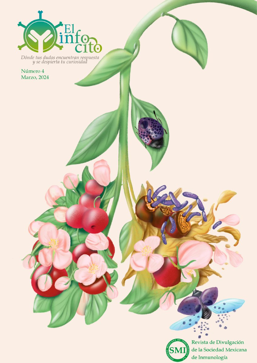 Schnoor Lab tweet media