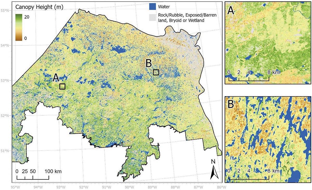 NEW PAPER 📢 Characterizing post-fire northern #BorealForest height dynamics 🔥🌲 🔓#OpenAccess: doi.org/10.1080/014311… ✍️ Queinnec, Coops & @Joanne_C_White 🙏 @csa_asc @PFC_CFS @txominhermos @mikewulder #RemoteSensing #Lidar #ICESat2 #CanopyHeight