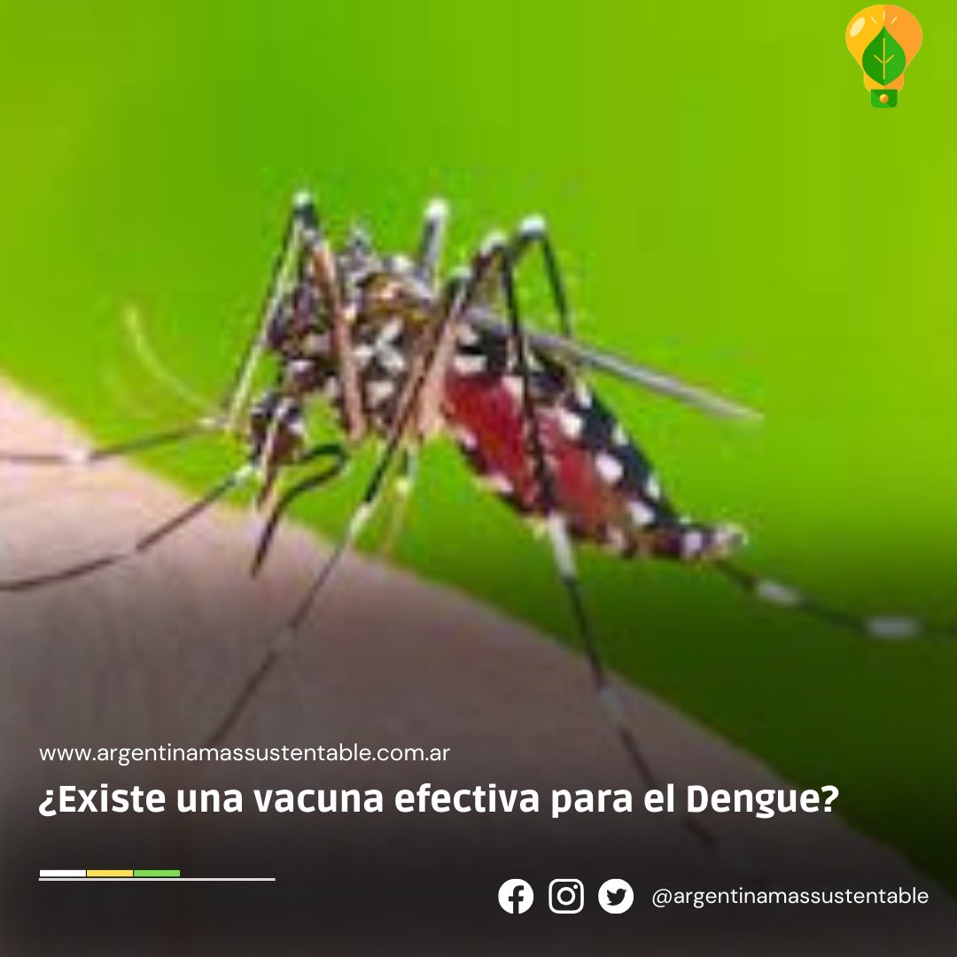 argentinamassus's tweet photo. Vacuna del Dengue: Cuánto cuesta, dónde se consigue y quiénes pueden aplicársela

🏥 TAK-003 ya se comercializa en el país. Protege contra cualquiera   de los cuatro tipos de dengue y, por el momento, está disponible en vacunatorios privados.

🍃 Link: https://t.co/EPVBcaA7k9 https://t.co/J6GolKNigL