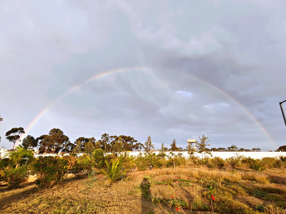 ቀስተ ደበና ድሕሪ ዝናም፡ (ናይ ሎም ስእሊ)
Rainbow 🌈  after the rain. #EritreaShines