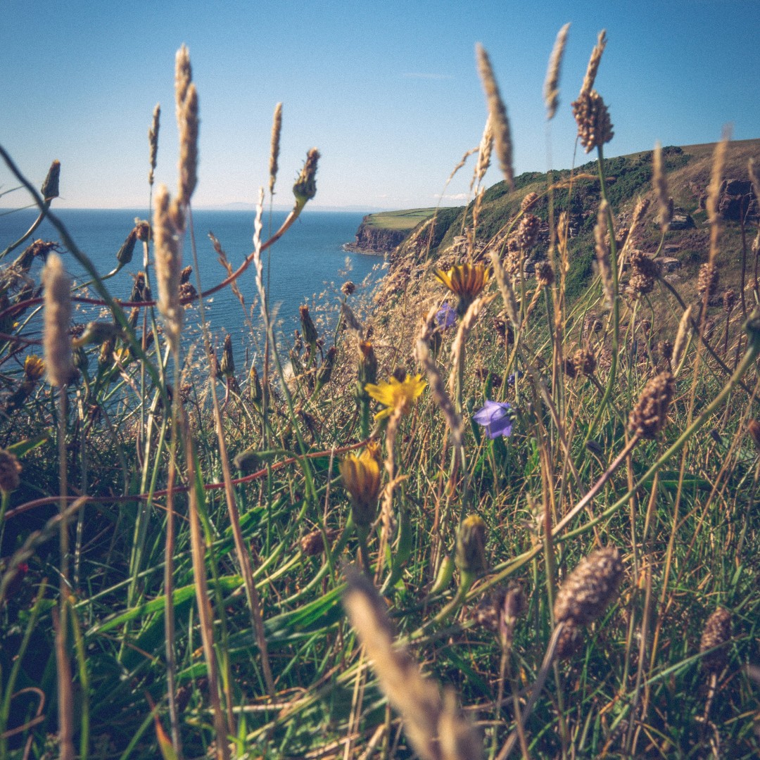 #FirstDayOfSpring || It’s officially spring and we couldn’t be happier! 😄

The days are about to get longer, warmer and brighter and the sunsets are about to get more beautiful! 🌼☀️  Who's excited?

#StBees #CoastToCoast