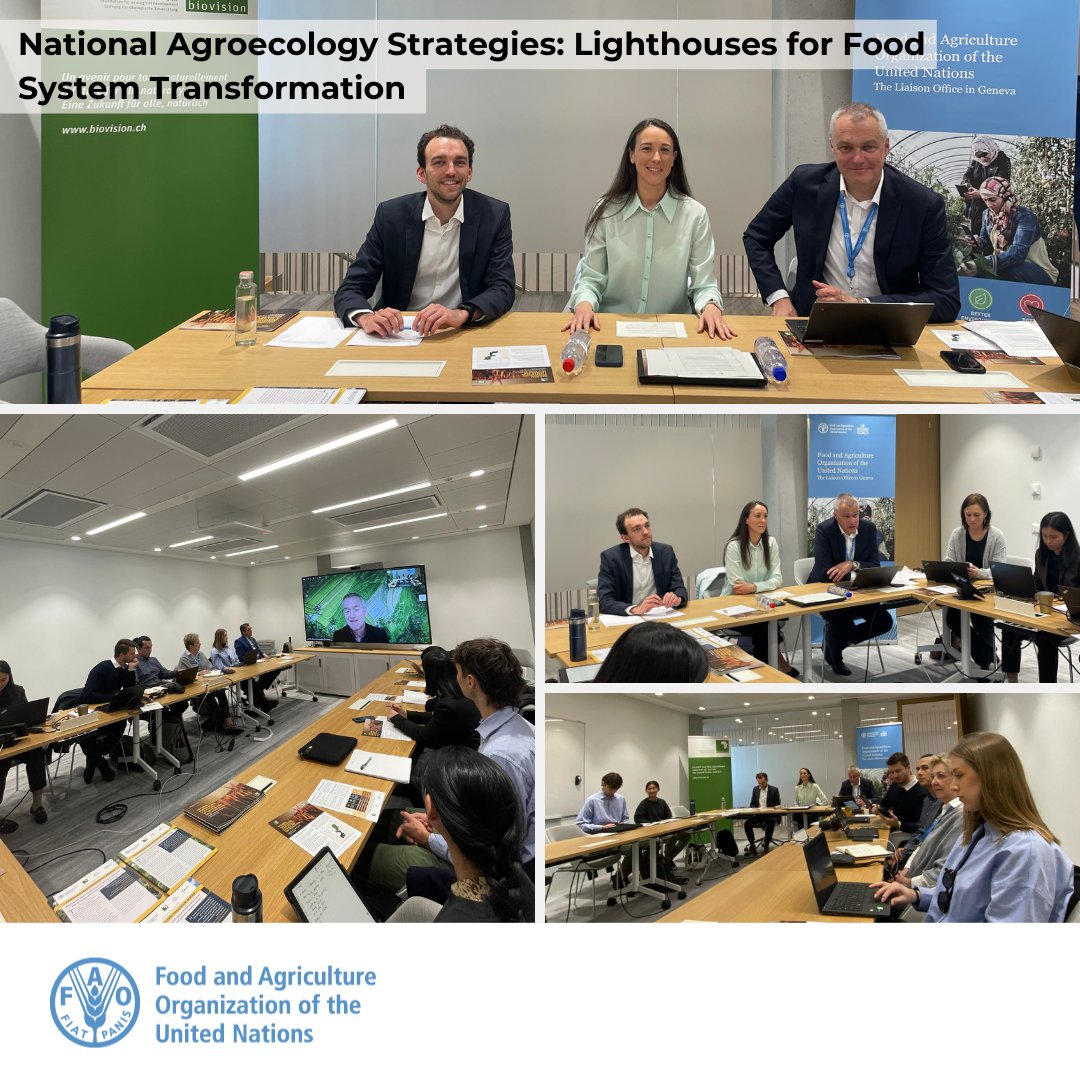 .@FAOGeneva & Biovision @FutureforAll co-organized “National Agroecology Strategies: Lighthouses for #FoodSystem transformation” to ➡️Discuss East & Southern Africa national strategies to scale up #agroecology ➡️Share lessons learnt for policymaking from Uganda, Kenya&Tanzania