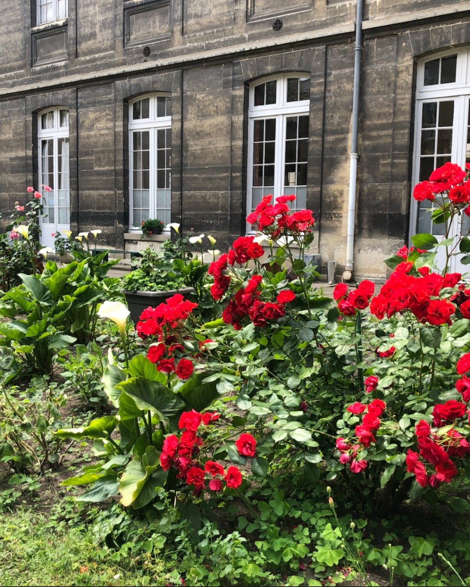 cmmaisonmere's tweet image. “If there is any danger in the present weather, in the name of God, Monsieur, wait until spring.” St. Vincent de Paul.

#CongregationOfTheMission #MaisonMère #FamVin #Vincencians #StVincentDePaul