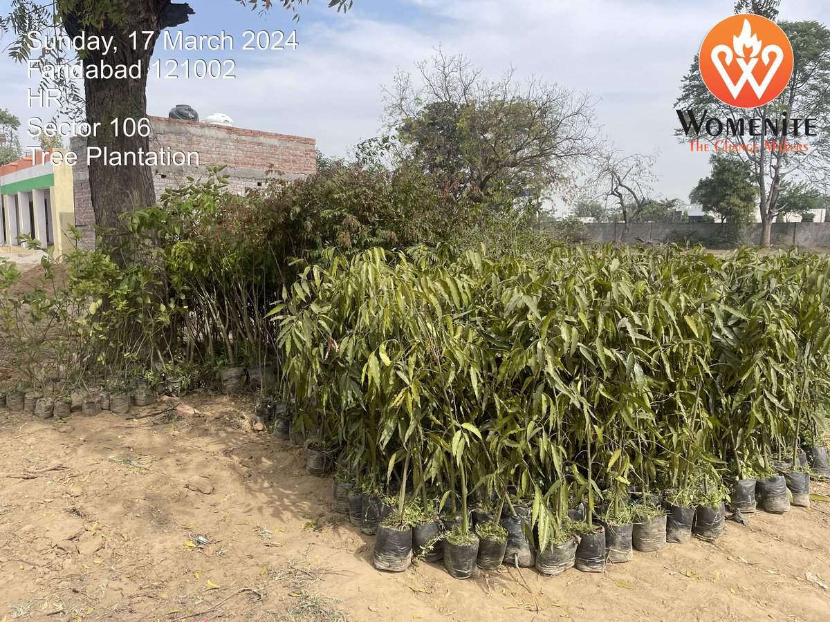 Harshit Gupta tweet media