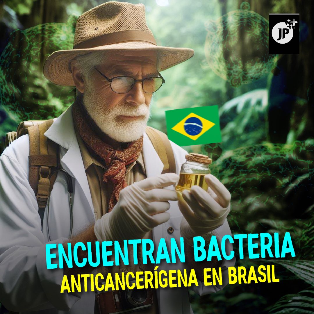 jpmasespanol's tweet photo. 🇧🇷 Científicos brasileños descubrieron una bacteria en suelo amazónico con propiedades antitumorales comparables a la quimioterapia, reduciendo en un 50% la capacidad de crecimiento de células cancerosas en 72 horas, según un estudio en 'Scientific Reports'. https://t.co/IW6WOG8feg