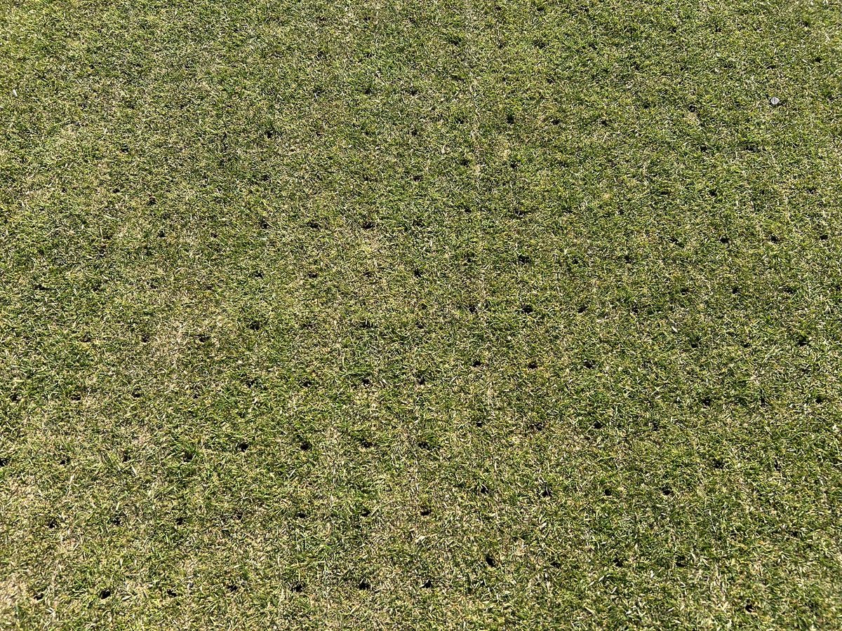 Greens maintenance week going well 🌞⛳️<a href="/MachDunes/">Machrihanish Dunes</a>
