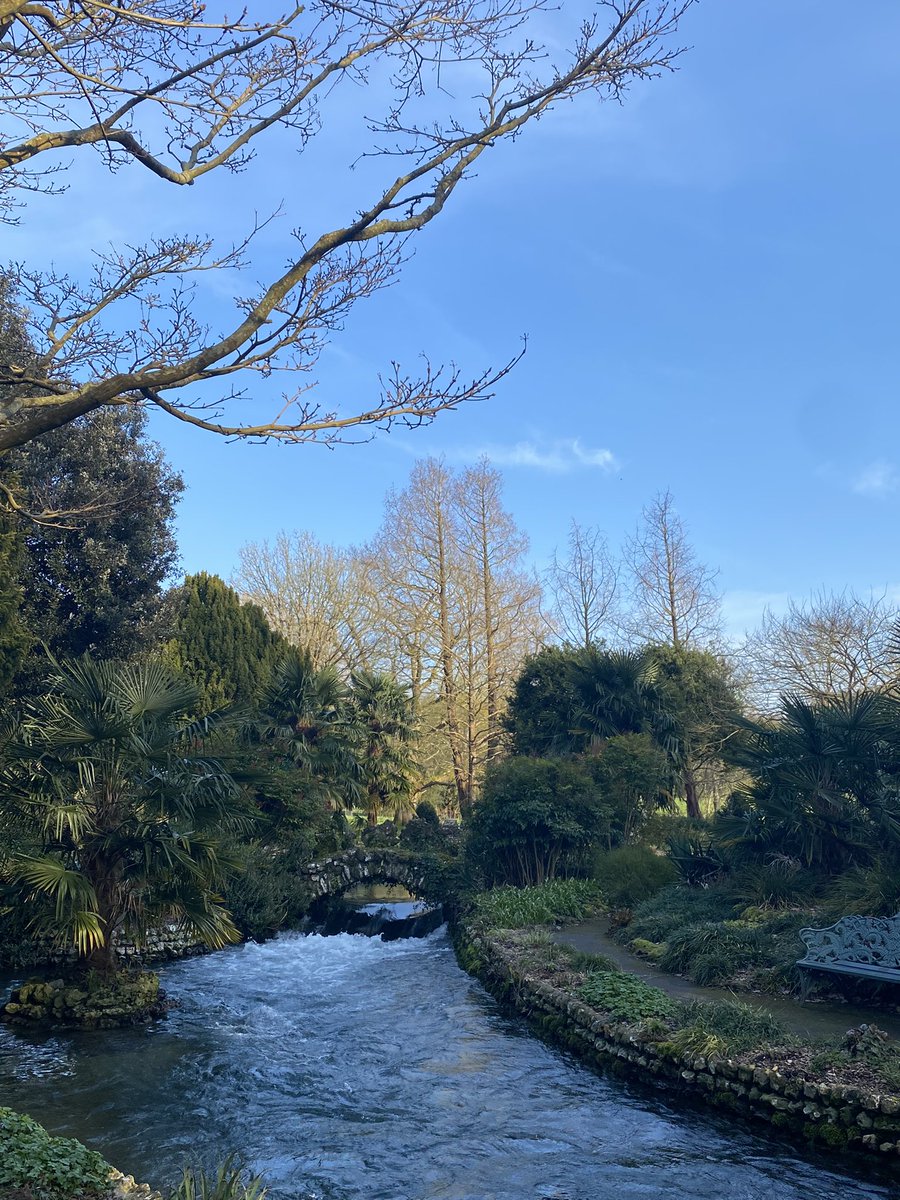 EveKenworthy's tweet photo. @westdeancollege just keeps delivering. Left home in the rain and drove into sunshine! #WriterCommunity #writers #writer https://t.co/49N73HdueK