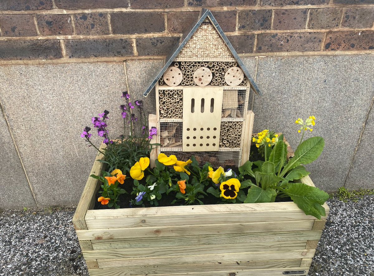 Starting to get ready for summer at Margate station with Bee and ant houses and flowers. What do you think of our new additions to the station? Anyone locally like to paint them?