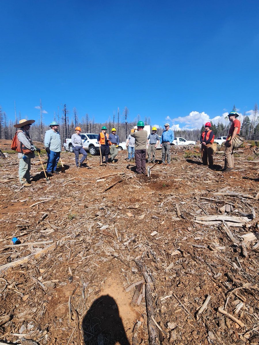 DyerDialogue's tweet photo. @AmericanForests leads on landscape level work once again! Before we start planting 2000+ acres of the Caldor &amp; Power🔥scars - we are out in the field for a training day. This project will plant half a million🌲s across the @EldoradoNF. 
#ConeCorps #BeTheChange #Forests4Climate https://t.co/gxXI3ISoiW