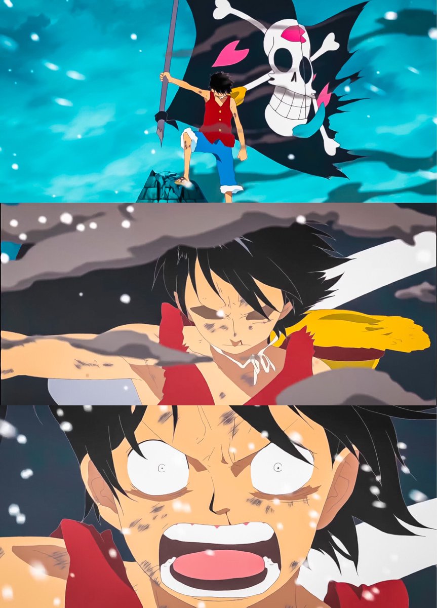 One Piece Daily (@opdaiiy) on Twitter photo 