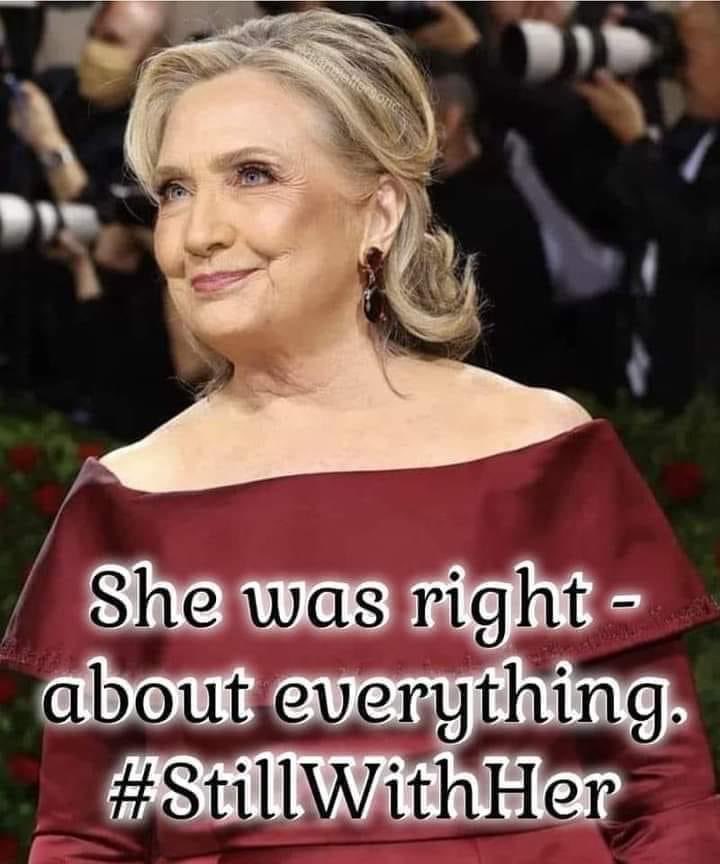 #ProudBlue #DemVoice1 Hardly a day goes by I don’t wish this brilliant woman could have been our President. There are so many reasons, too many to write about here, but the one I think about most is some of my friends who died from Covid would still be here. It was not a hoax.