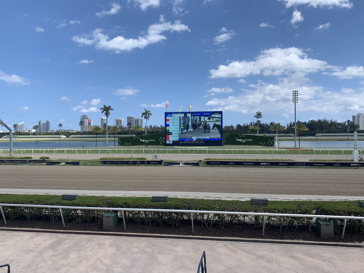 Picture perfect day @GulfstreamPark! Can’t go wrong with Sunny and 25°C/77°F #BetGulfstream