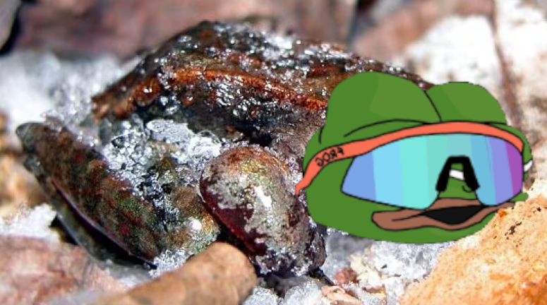 'hmmm wonder if it's time to wake up from this little freeze'

FR OGs no to wait for the freeze to end
a little cold don't kill no FR OG

FR OG PEPE eternal, can't kill a meme.

ForRealOG. $FROG
