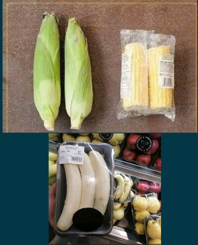 skaraismailoglu's tweet photo. Doğanın harika bir şekilde paketlediğini soyup, yeniden paketlemek ancak bir insan fikri olurdu zaten.... https://t.co/FS1JIlB5Lg