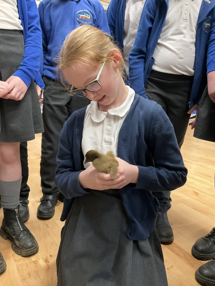 Kellington Primary tweet media