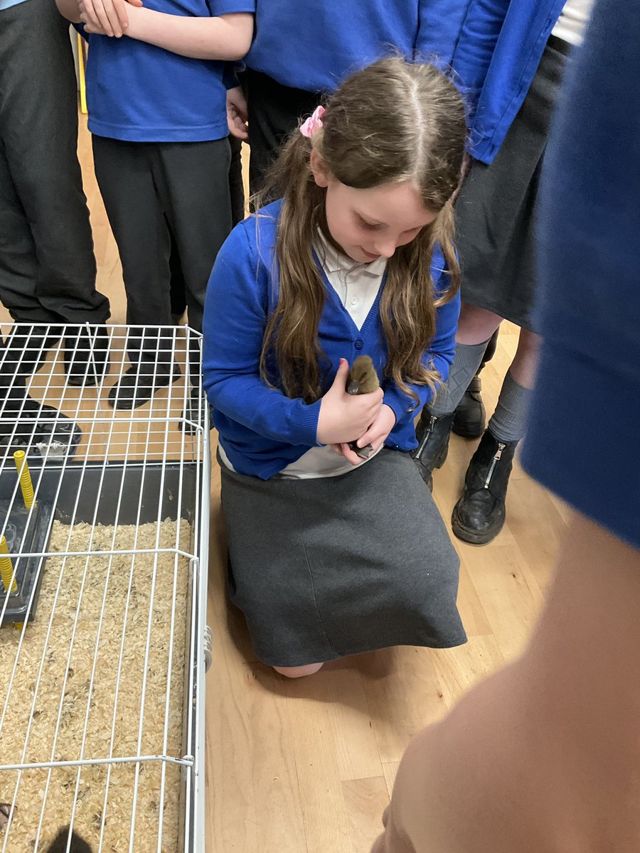 Kellington Primary tweet media