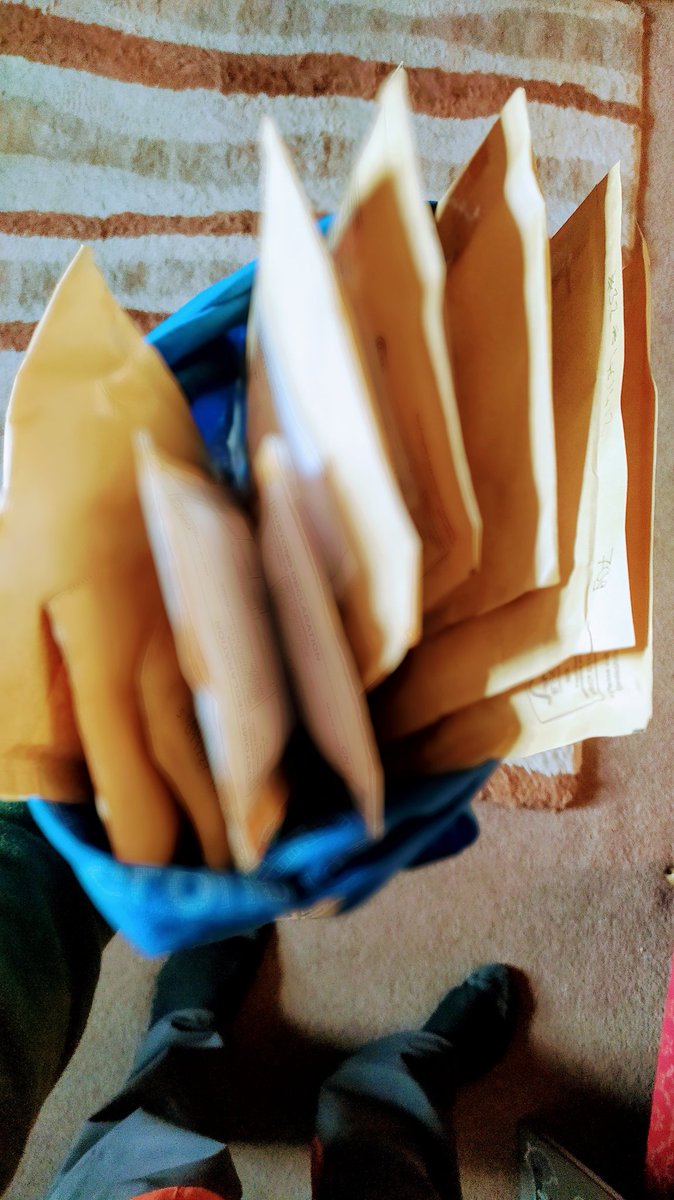 concretedog @concretedog@mastodon.social tweet media