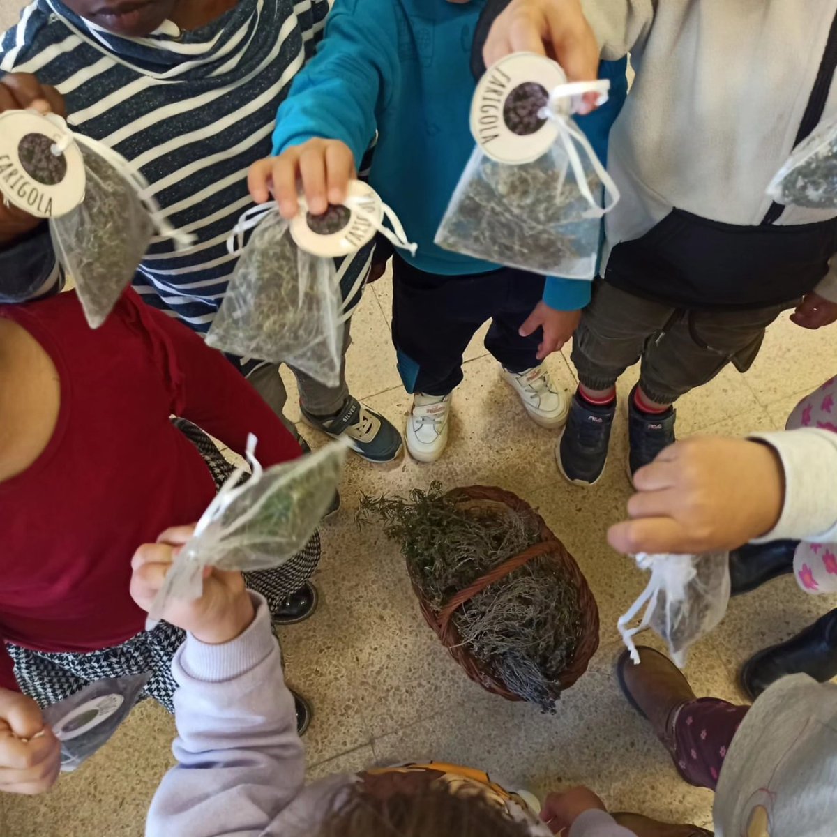 escolageneralp1's tweet photo. A I3 ja olorem a 🌼primavera. Els nens i les nenes han preparat la seva bosseta aromàtica!Han collit les plantes de l'hort 🪻espígol, romaní 🌿o farigola!
Les han olorat👃🏽, i decidit quines els agradaven més!
#olorem #Primavera #bossetaaromàtica #transformacioeducativa #ADNprim https://t.co/yr06iNbT2V