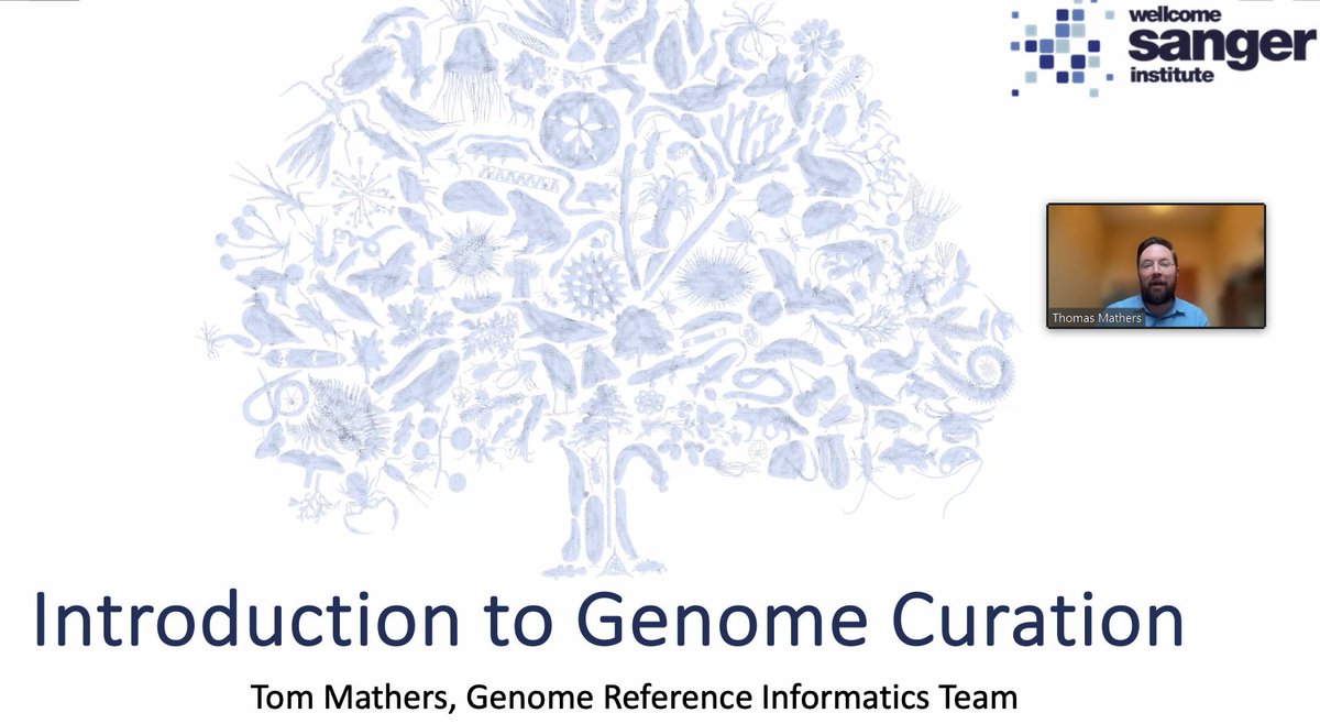 Many thanks to our guest speakers - @Thomas_Mathers from @sangerinstitute and Terence Murphy & his team from @NCBI - for bringing invaluable insights to day 3 of the Assembly and Annotation of Genomes course! 🧬🌟