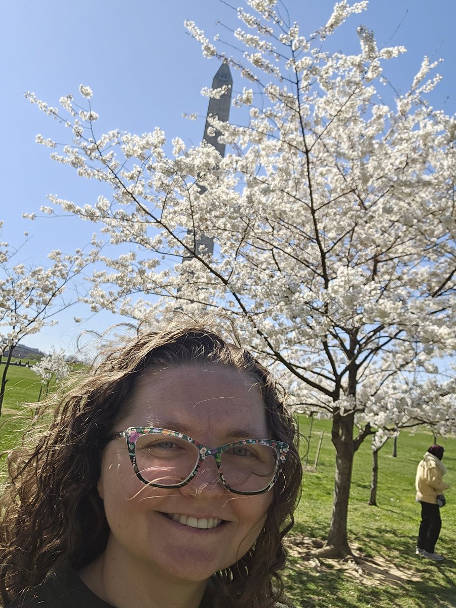 Quick sight seeing tour of the cherry blossoms before getting started with #wps24