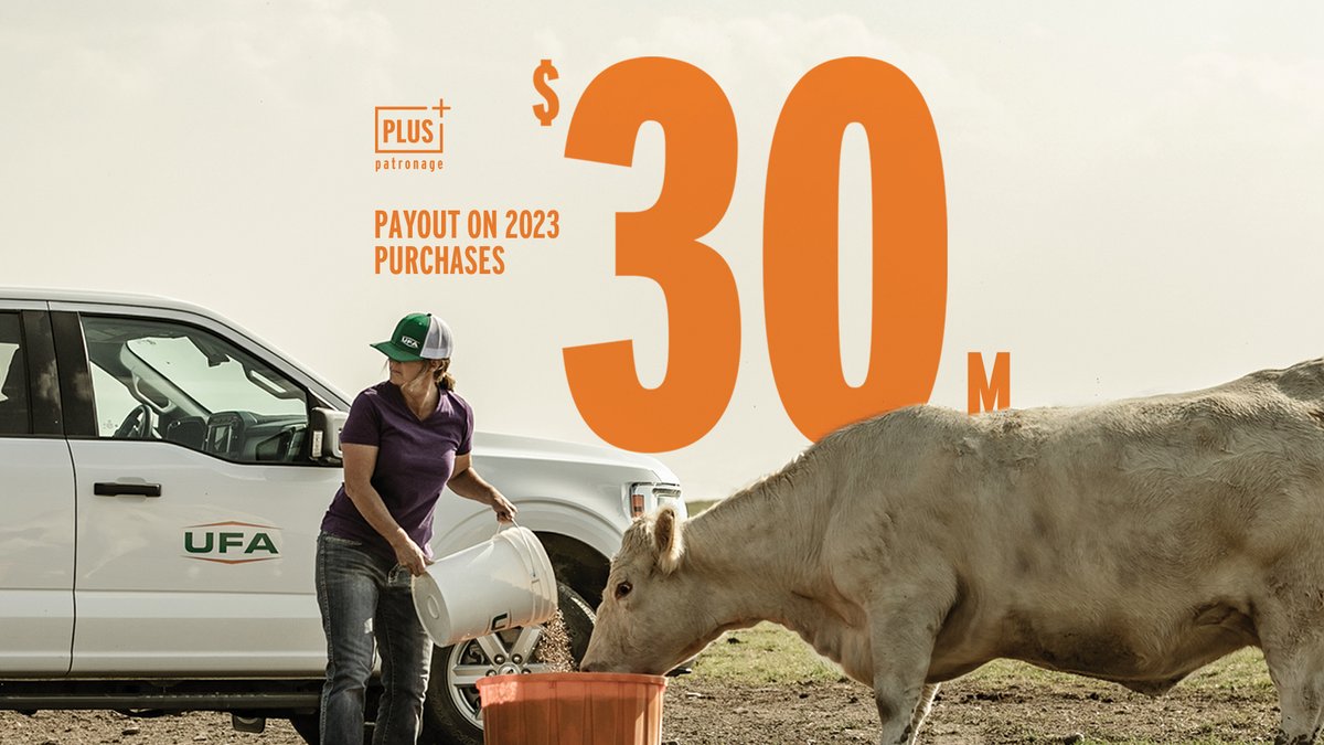 UFA Co-operative tweet media