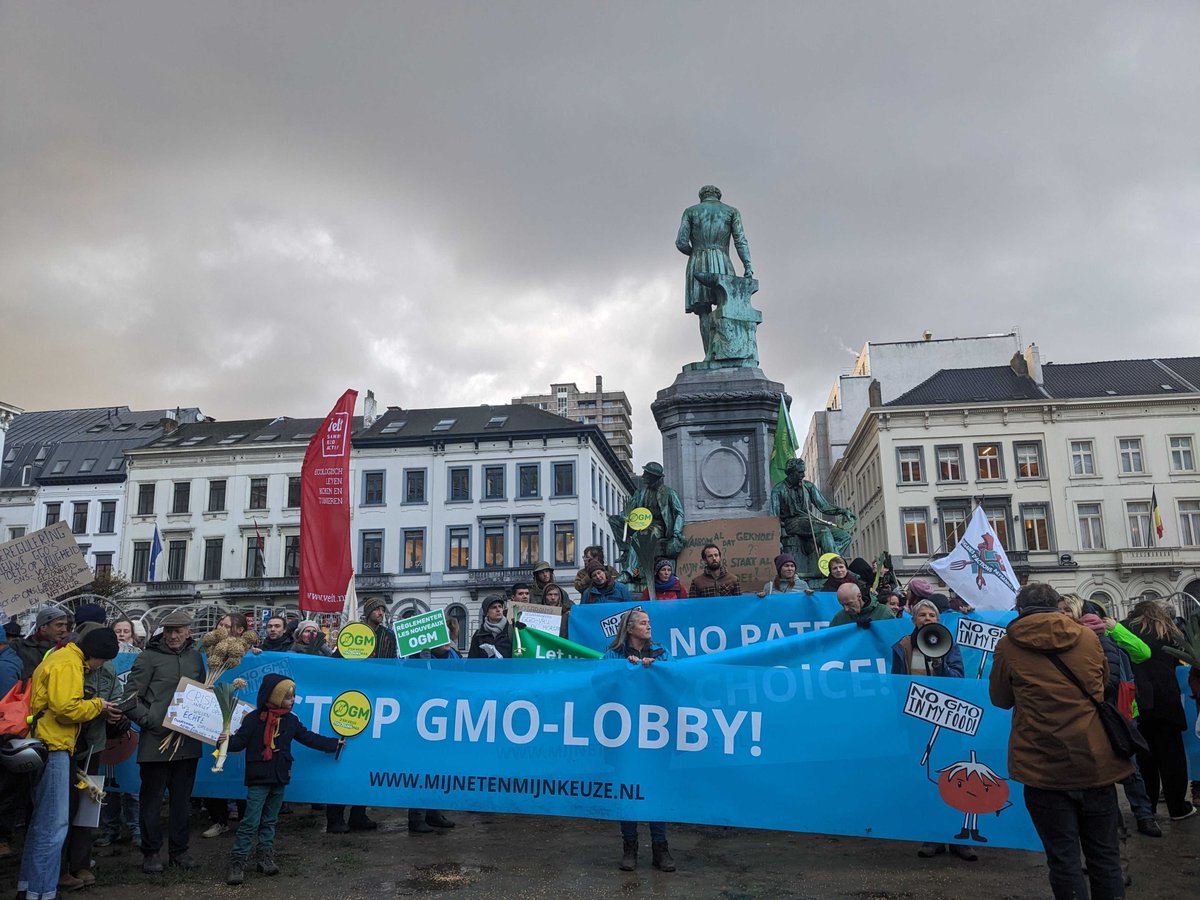 📢ECVC welcomes an important milestone victory against the deregulation of #GMOs derived from NGTs. The @EUCouncil has passed the informal deadline of 19 March without overcoming blocking points related to patents and GMO-free agriculture. 👀👉eurovia.org/press-releases… #stopGMOs