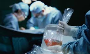 maximizegn1's tweet photo. Discover the cutting-edge #Scandia #Transplant #Organ Preservation #Market! Unveil the latest advancements and #breakthroughs in organ #preservation #technology. 

Get More Info:https://t.co/VYCPGVmU3x

#OrganPreservation #HealthTech #ScandiaTransplant https://t.co/Abmsl2XaF1
